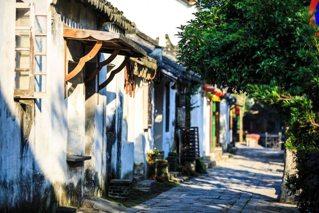 疯狂的麦克斯